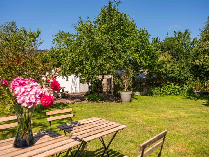 Photo 39 of Nesdijk 25