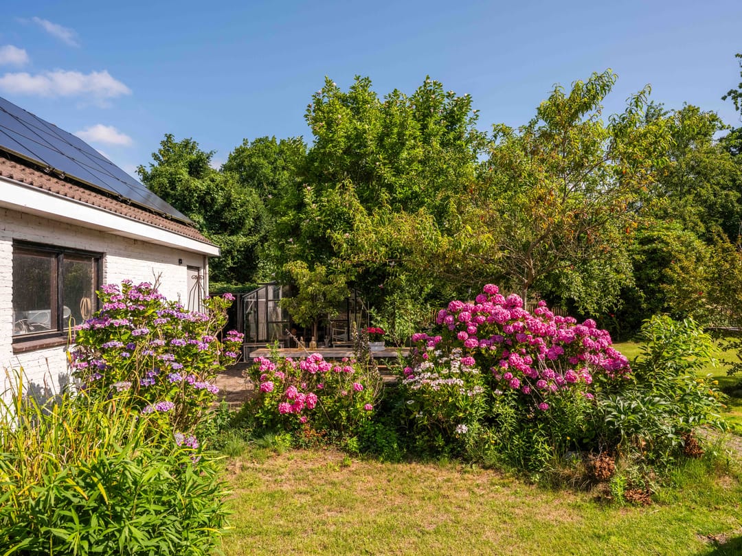 Foto 46 van Nesdijk 25