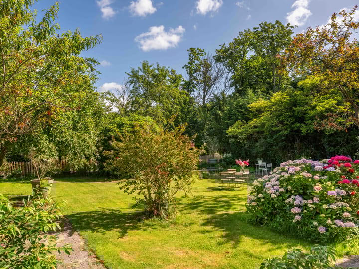 Photo 47 of Nesdijk 25