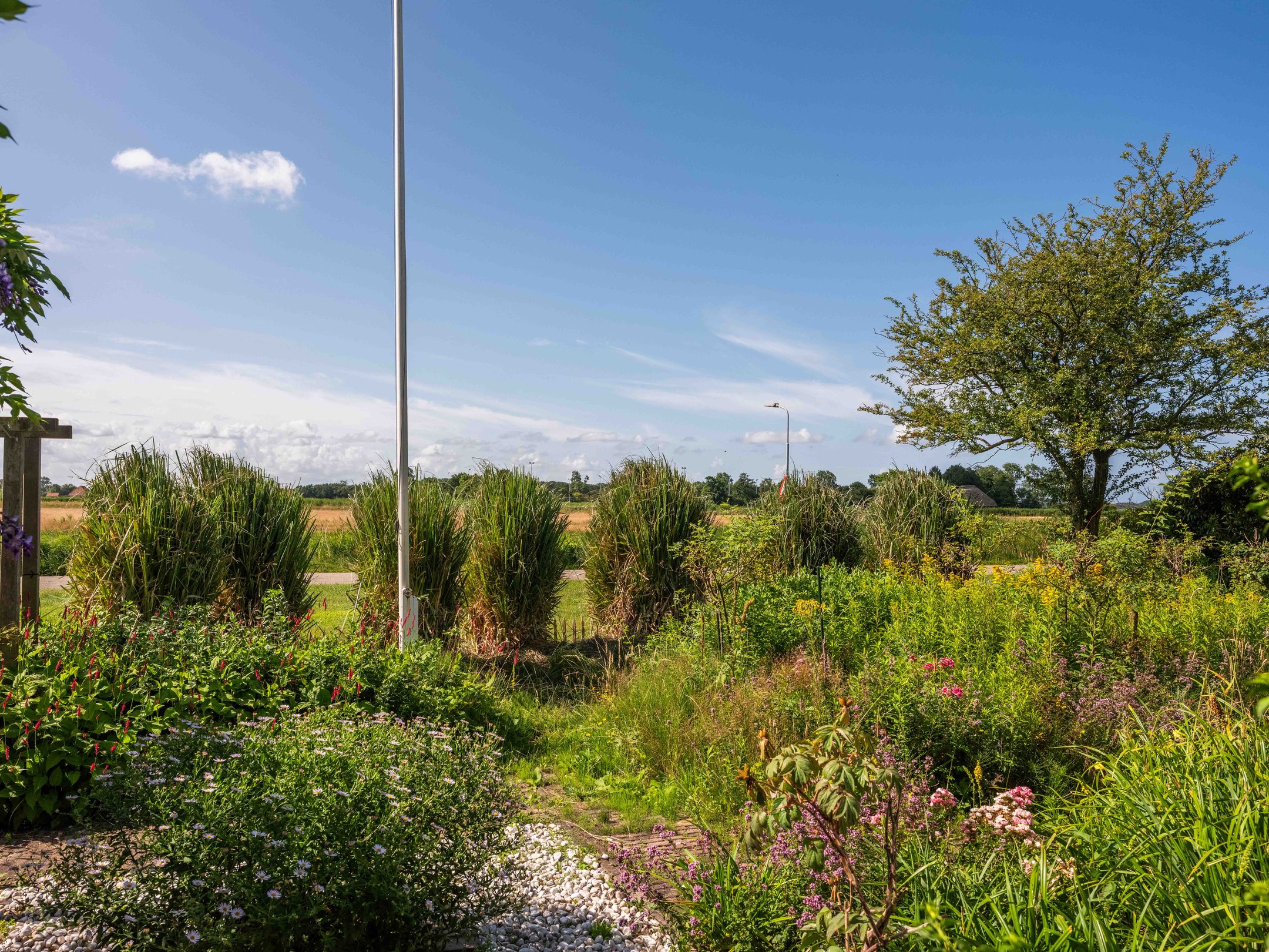 Foto 60 van Nesdijk 25