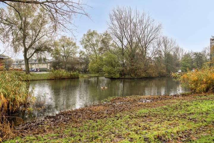 Photo 17 of Oostelijk Halfrond 99