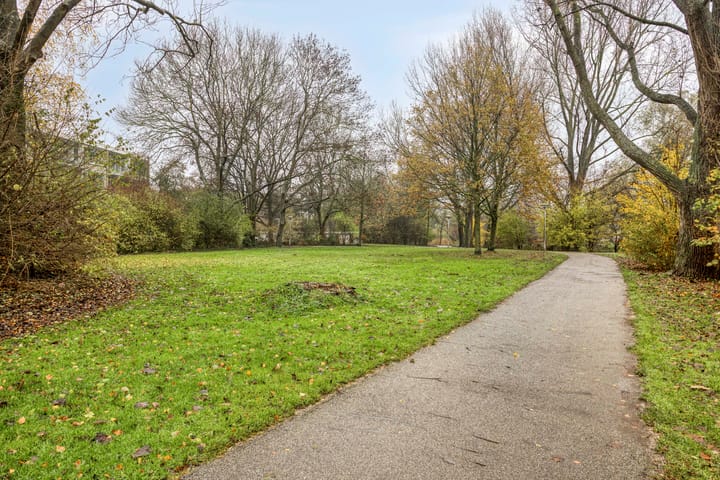 Photo 18 of Oostelijk Halfrond 99