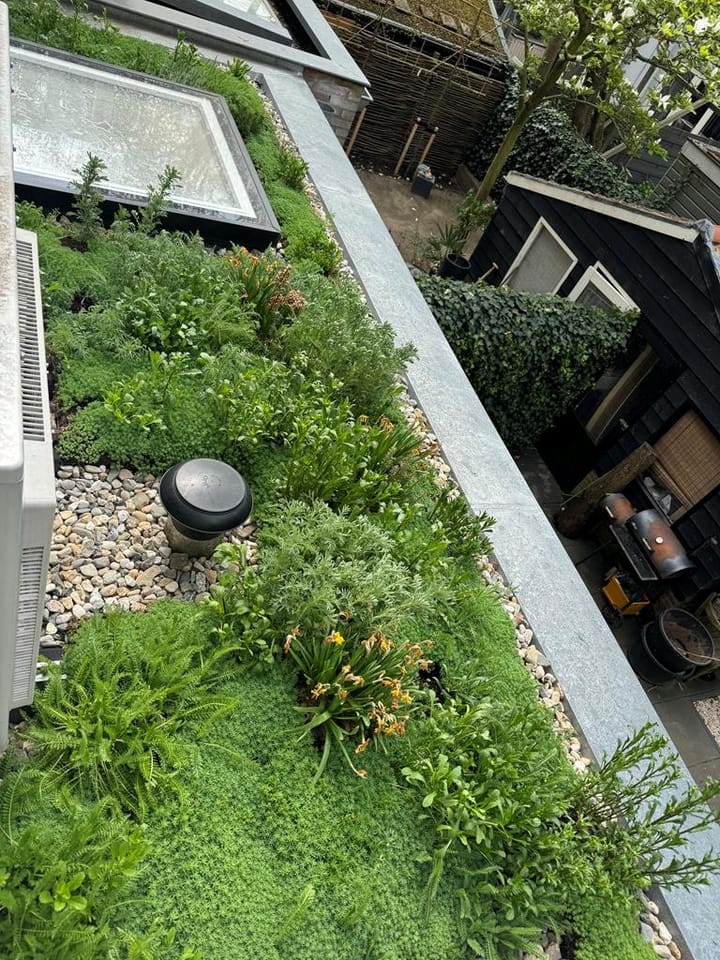 Photo 19 of Dintelstraat 12-1