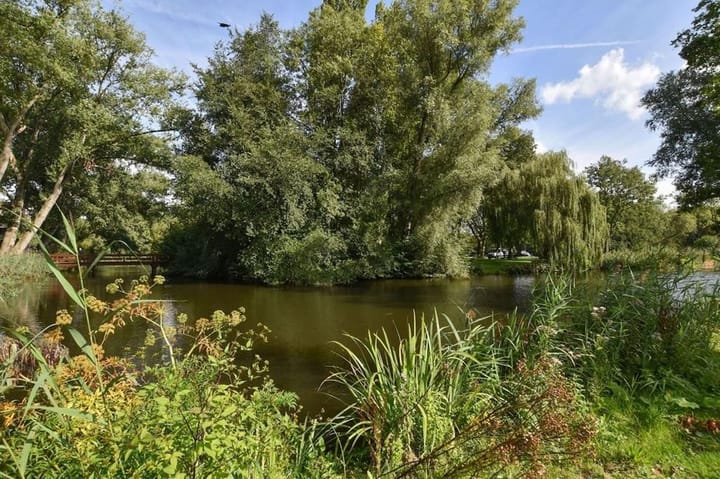 Photo 20 of Dintelstraat 12-1