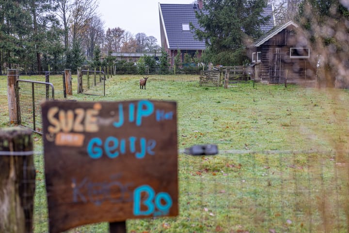 Foto 4 van Barloseweg 4