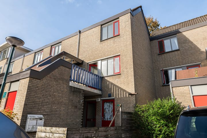 Photo 3 of Antilopespoor 26