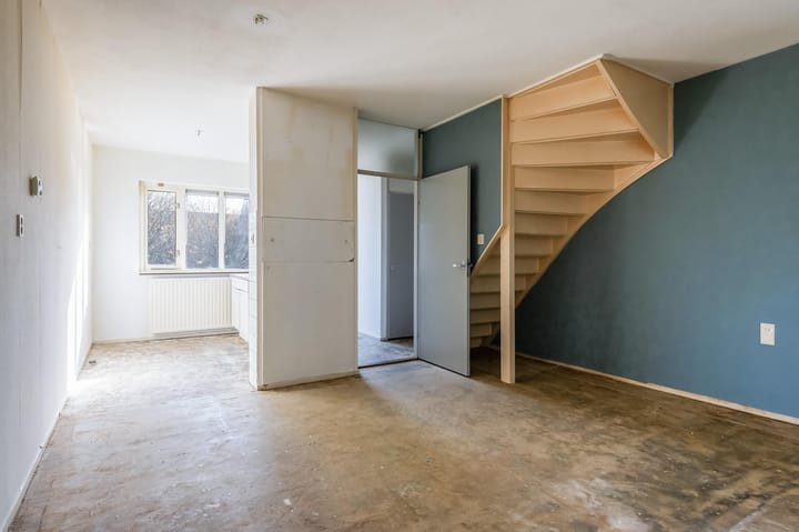 Photo 11 of Antilopespoor 26