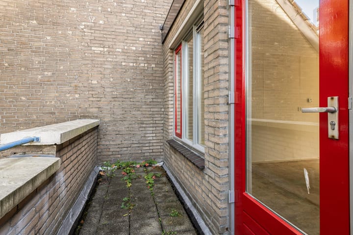 Photo 15 of Antilopespoor 26