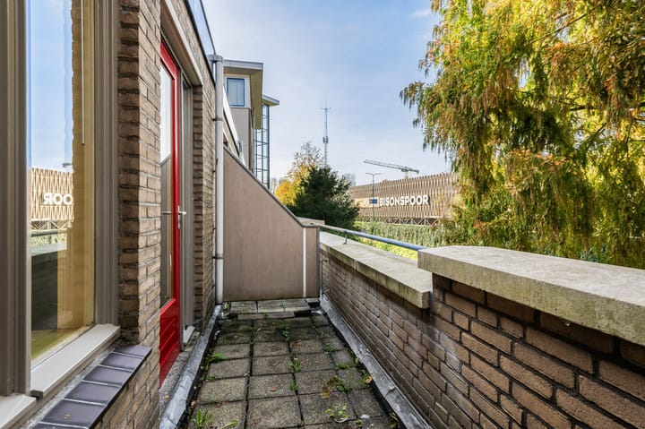 Photo 16 of Antilopespoor 26