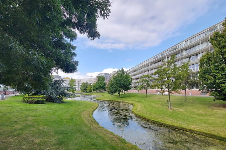 Photo 3 of Burgemeester De Monchyplein 42