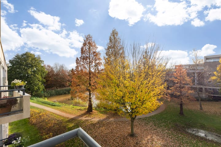 Photo 6 of Heunpark 1232