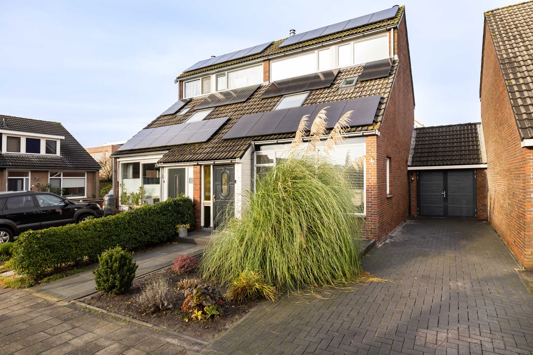 Photo 8 of Molefinne 29