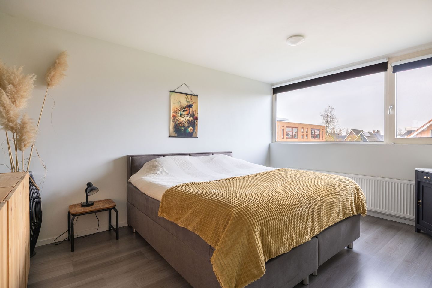 Photo 29 of Molefinne 29