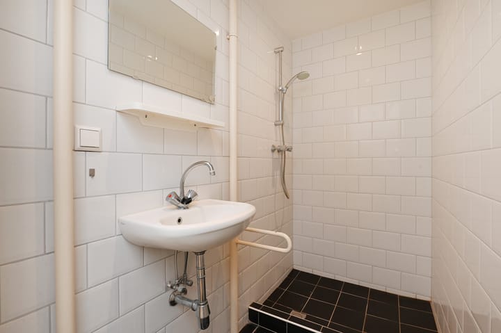 Foto 26 van Barnsteenhorst 298