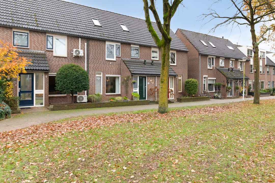 Foto 8 van Wolborgenmate 128