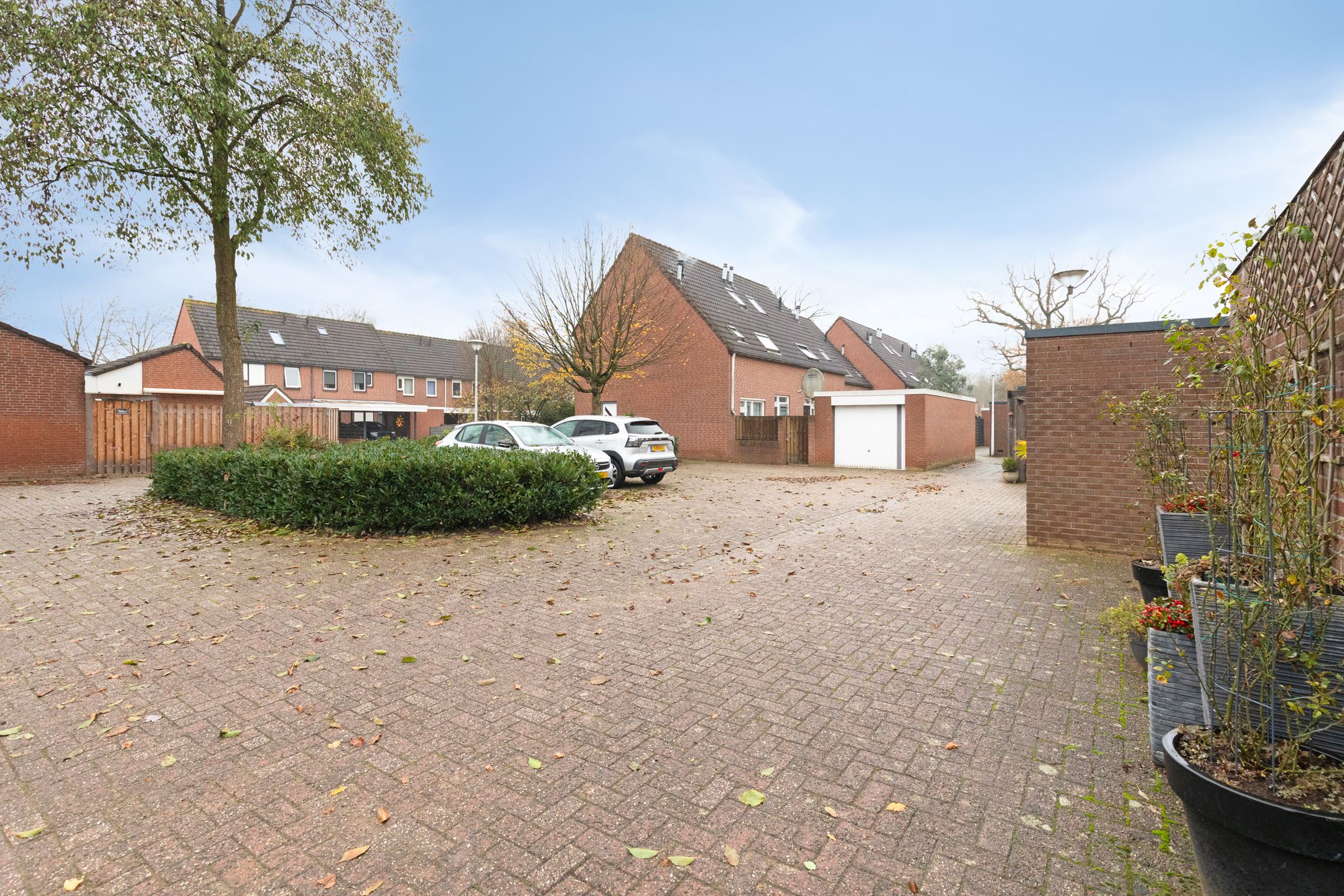 Foto 48 van Wolborgenmate 128