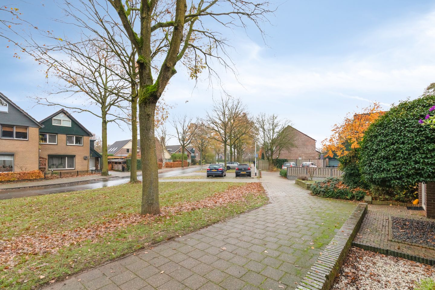 Foto 49 van Wolborgenmate 128