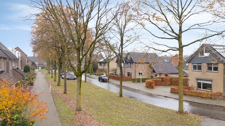 Foto 46 van Wolborgenmate 128