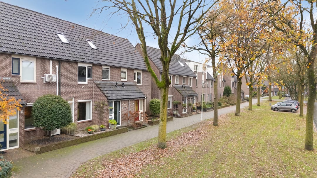 Foto 47 van Wolborgenmate 128