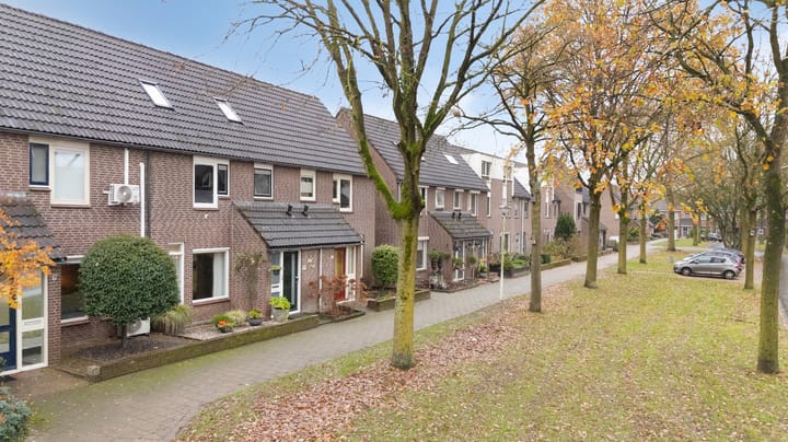 Foto 47 van Wolborgenmate 128