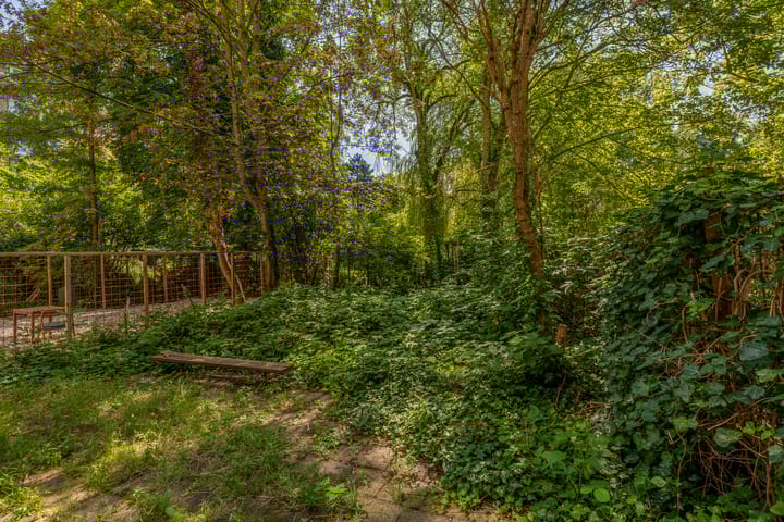 Foto 37 van Schieweg 24-D