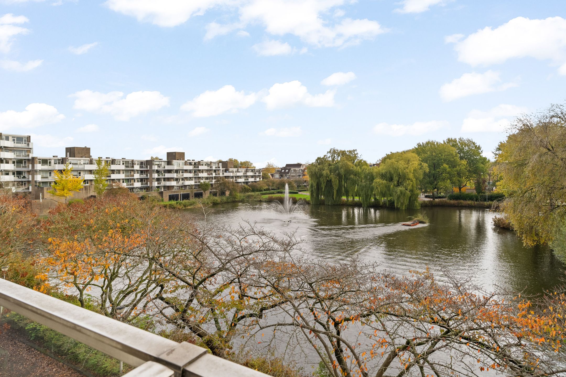 Foto 15 van Henry Moorepassage 26