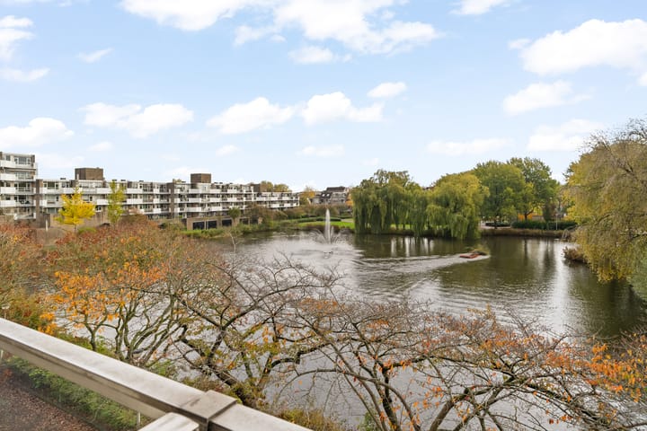 Foto 15 van Henry Moorepassage 26