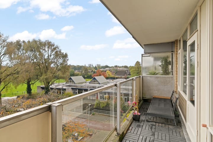 Foto 16 van Henry Moorepassage 26