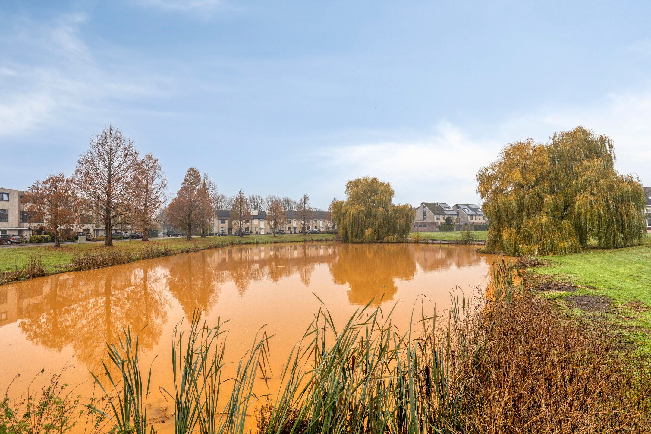 Foto 48 van Montgomerystraat 17