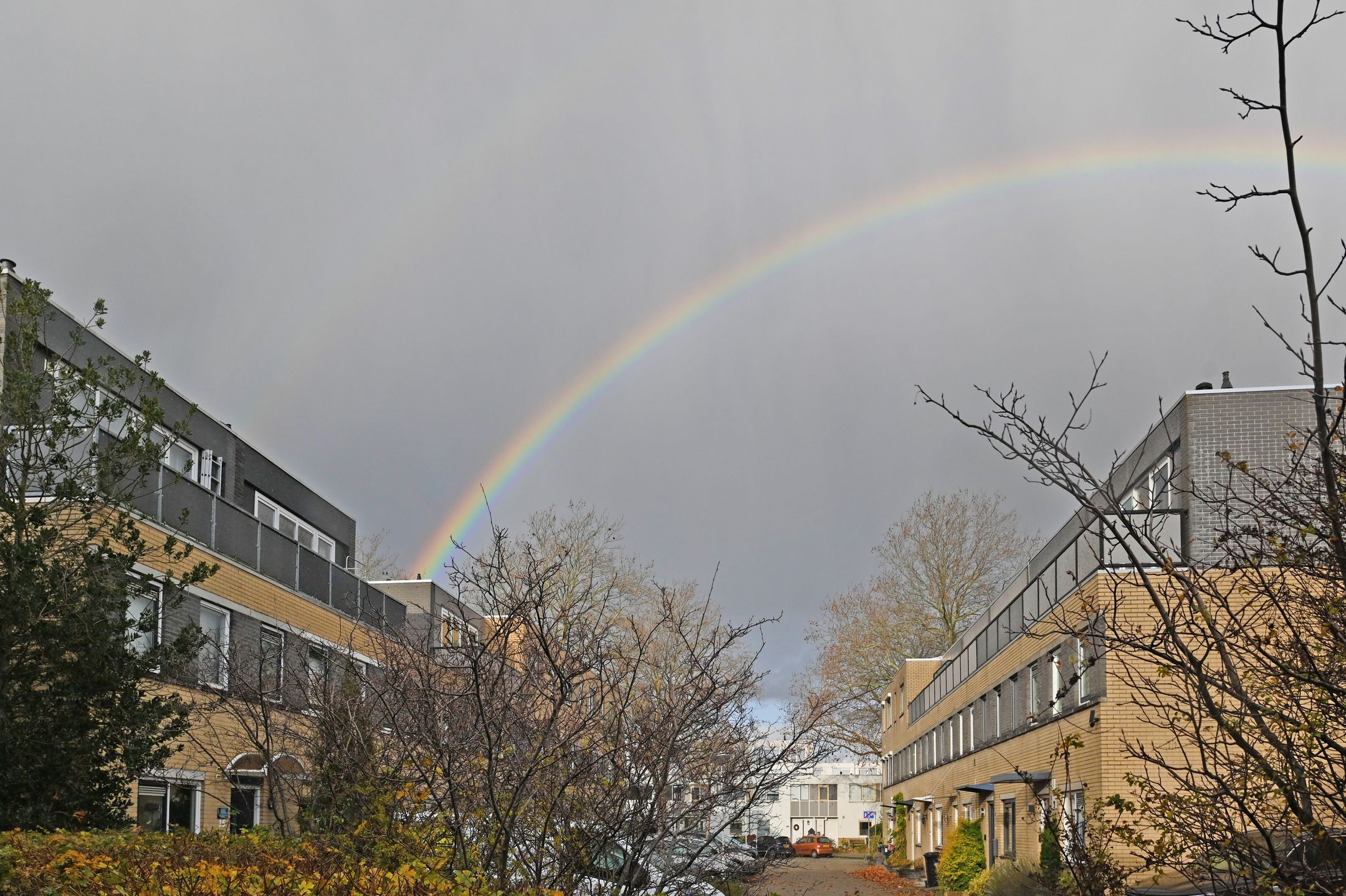 Foto 42 van Oriëntblauw 21