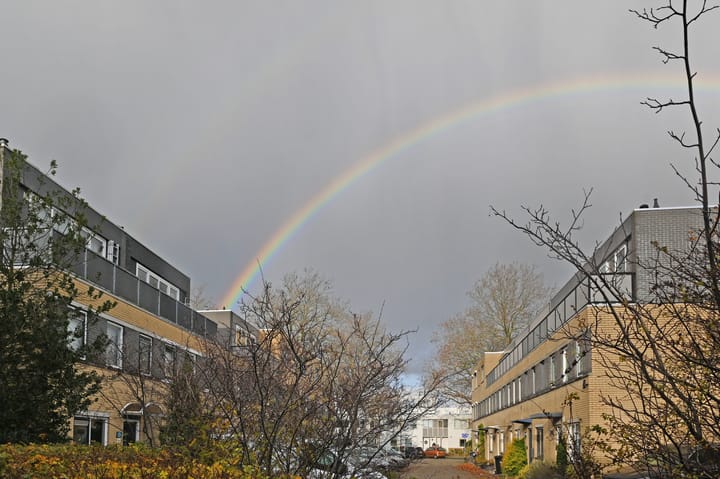 Foto 42 van Oriëntblauw 21