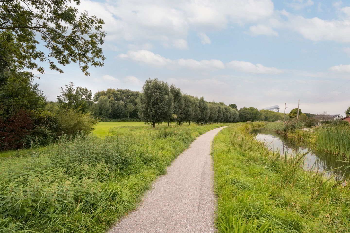 Foto 65 van César Franckrode 54