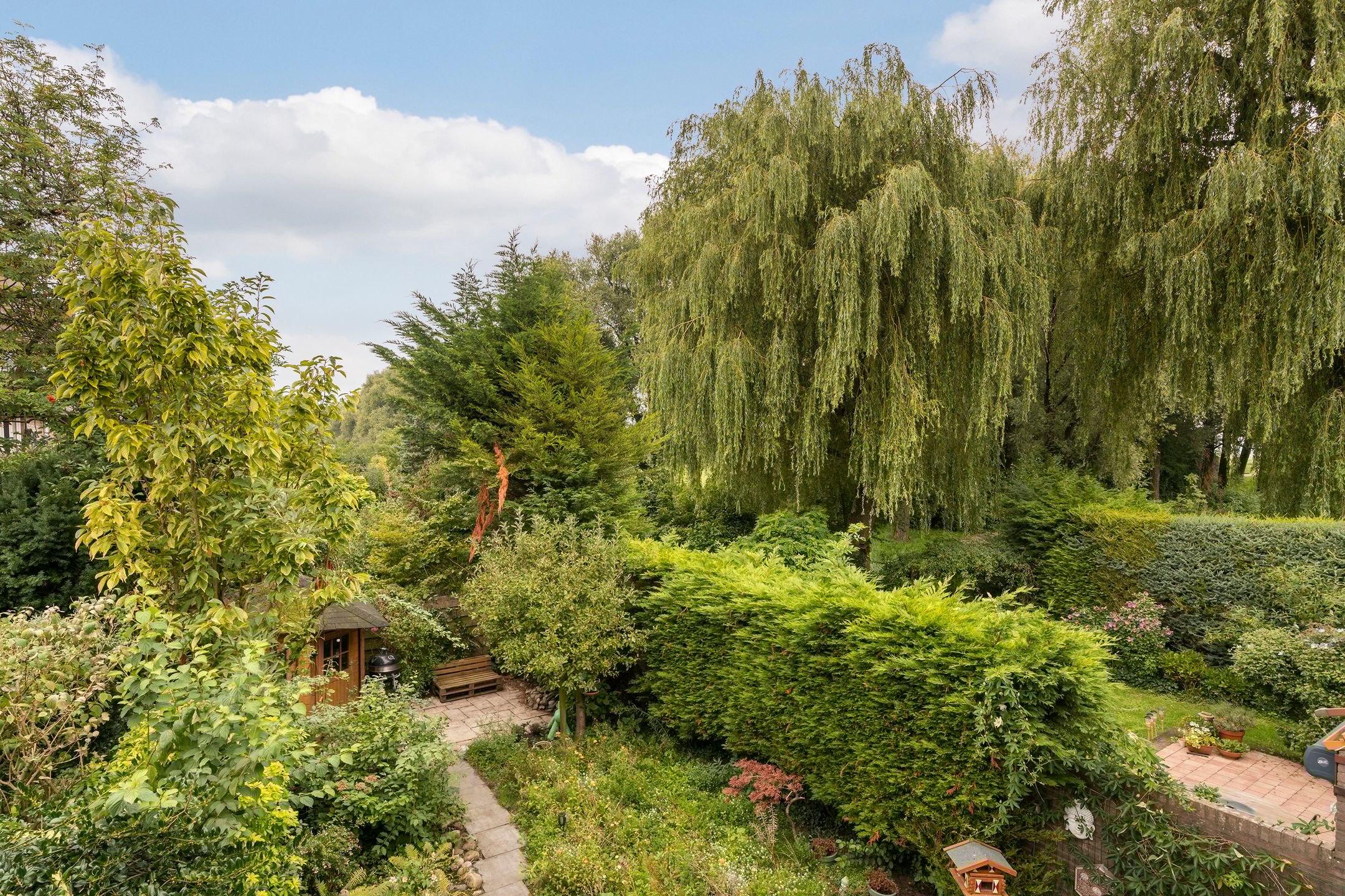 Foto 42 van César Franckrode 54