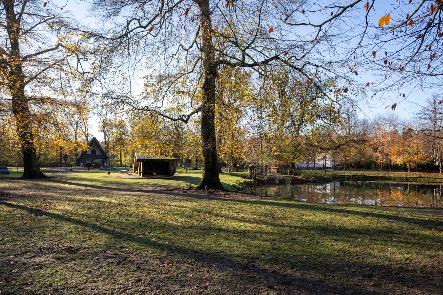 Foto 34 van Brederodelaan 112