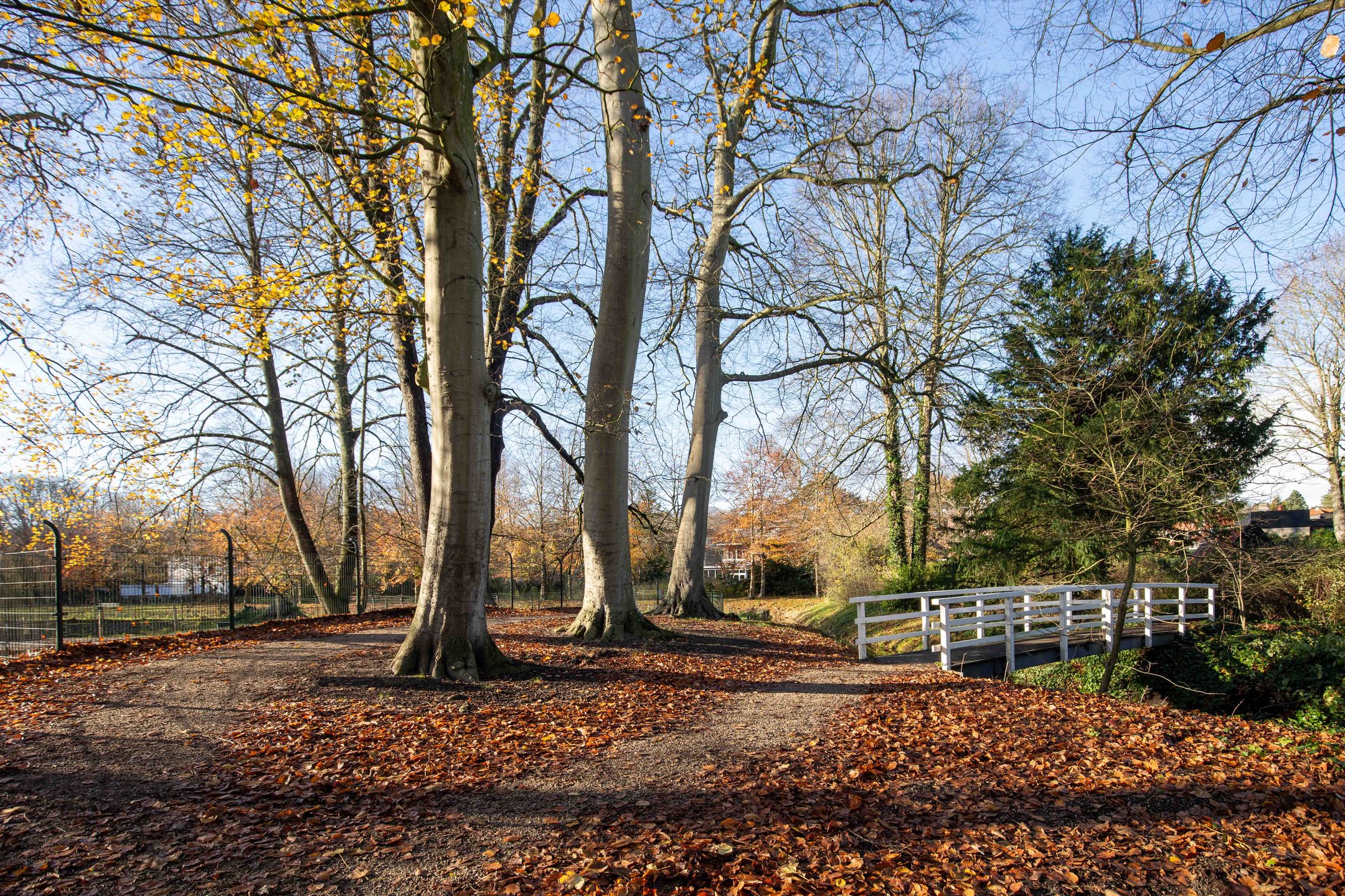 Foto 33 van Brederodelaan 112