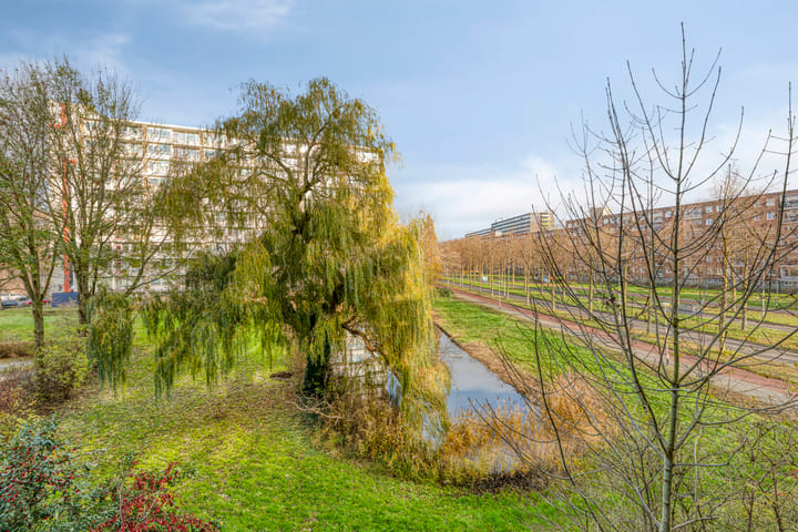 Photo 39 of Antwerpenstraat 170