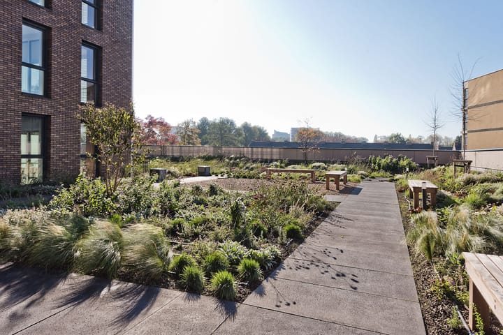 Photo 3 of Traviatastraat 156