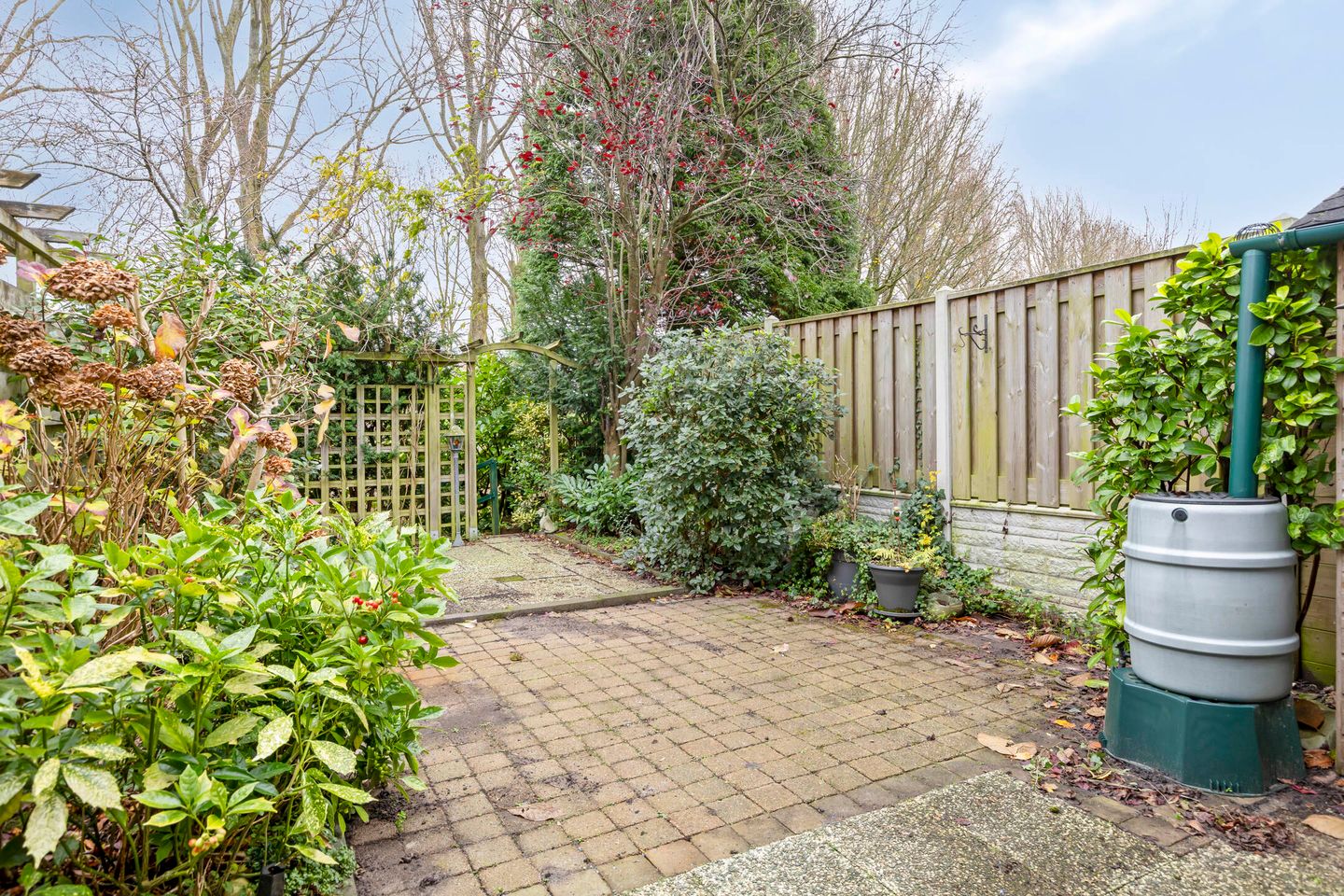 Foto 25 van Larix 45