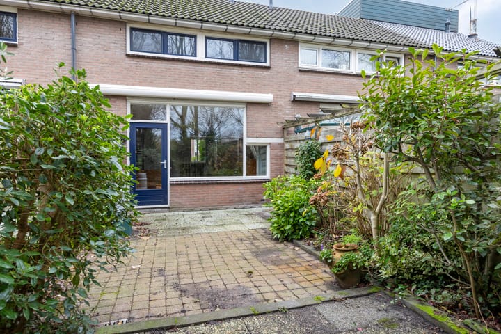 Foto 24 van Larix 45