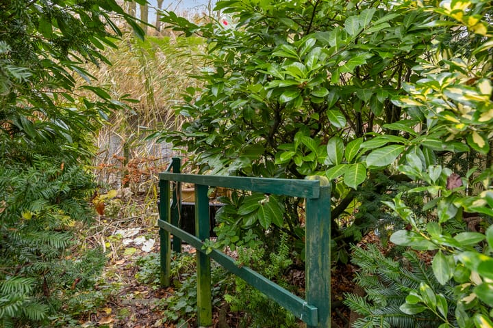 Foto 27 van Larix 45