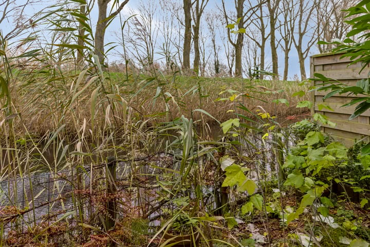 Foto 28 van Larix 45