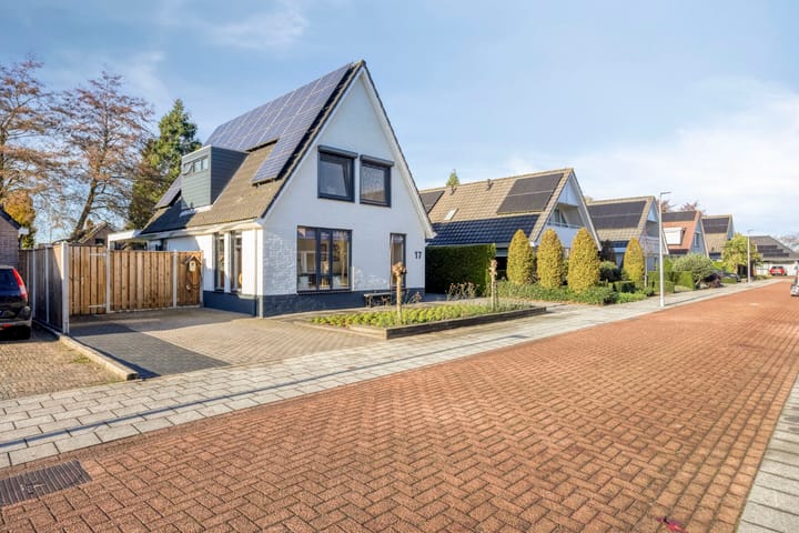 Foto 5 van Koraal 17