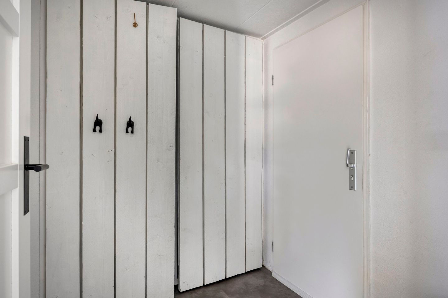 Foto 20 van Koraal 17