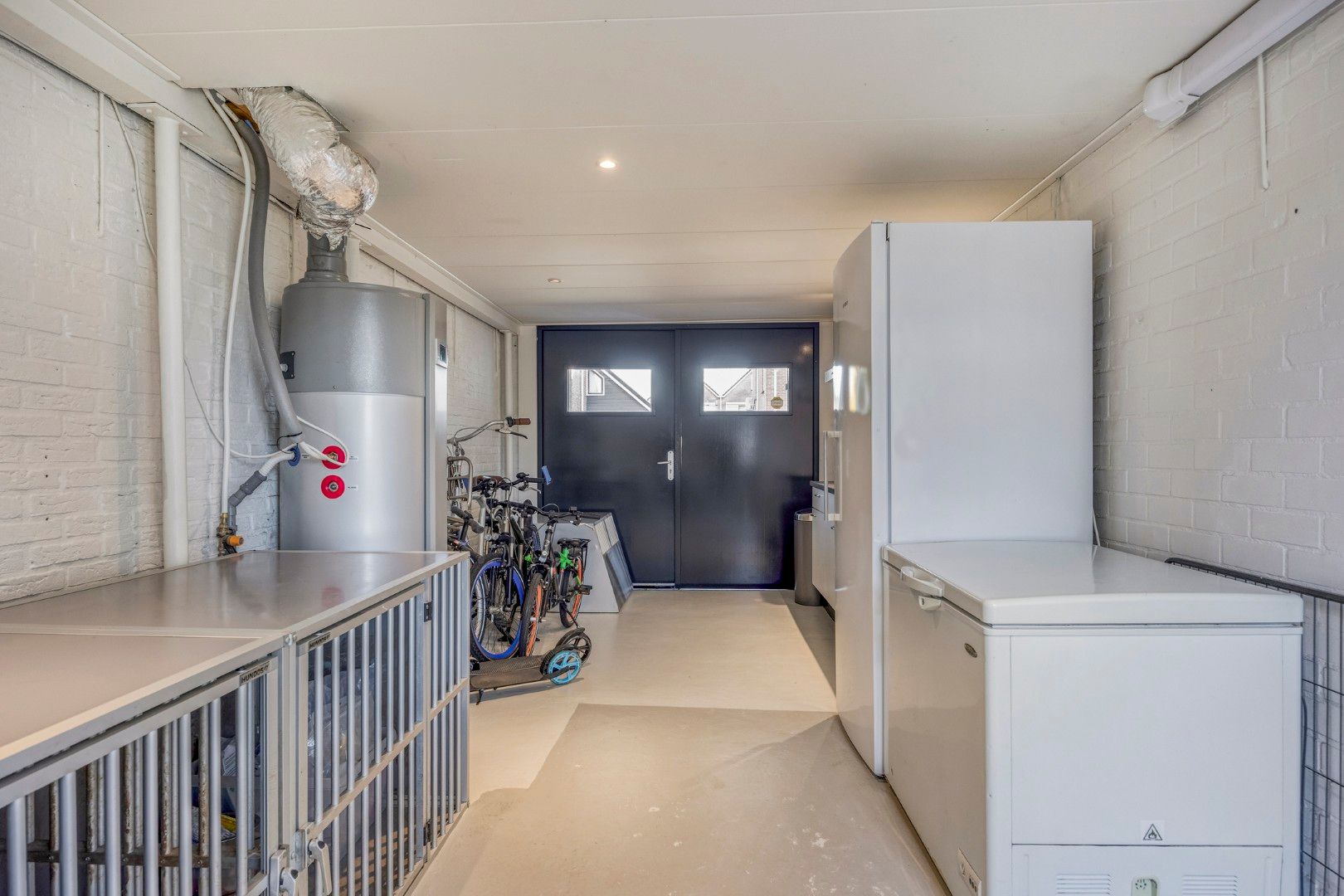 Foto 21 van Koraal 17