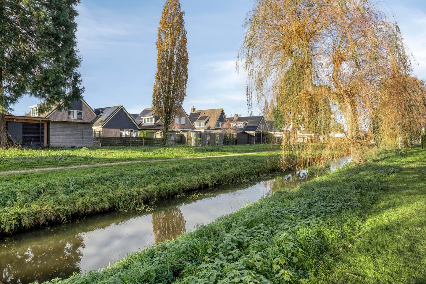 Foto 44 van Koraal 17