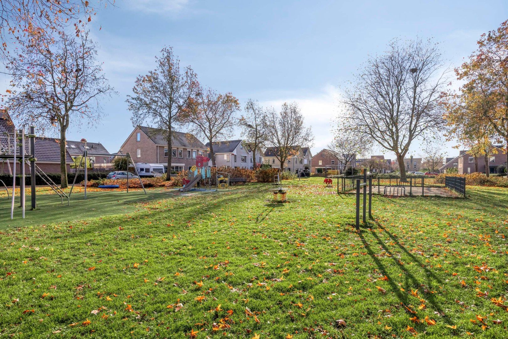 Foto 45 van Koraal 17