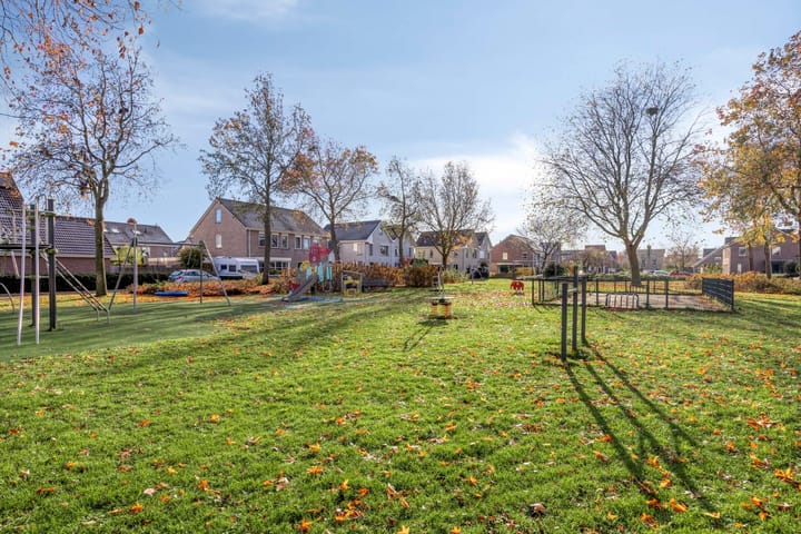 Foto 45 van Koraal 17