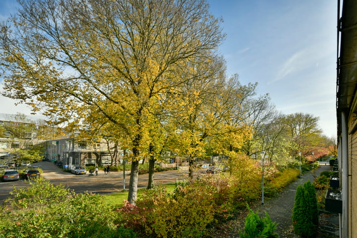 Foto 23 van Graan voor Visch 15206