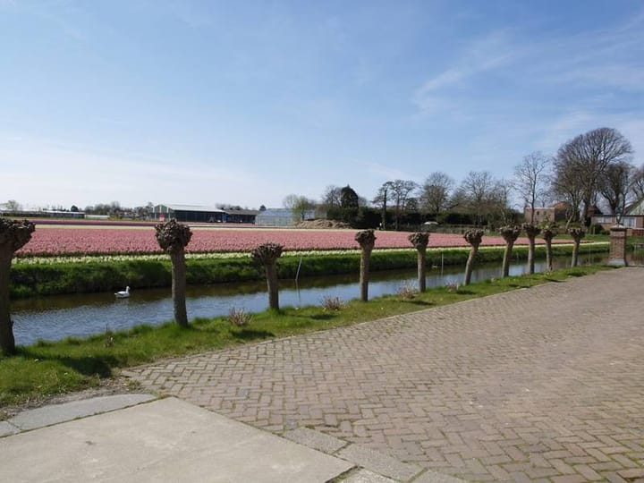 Foto 28 van Zilkerduinweg 362-B