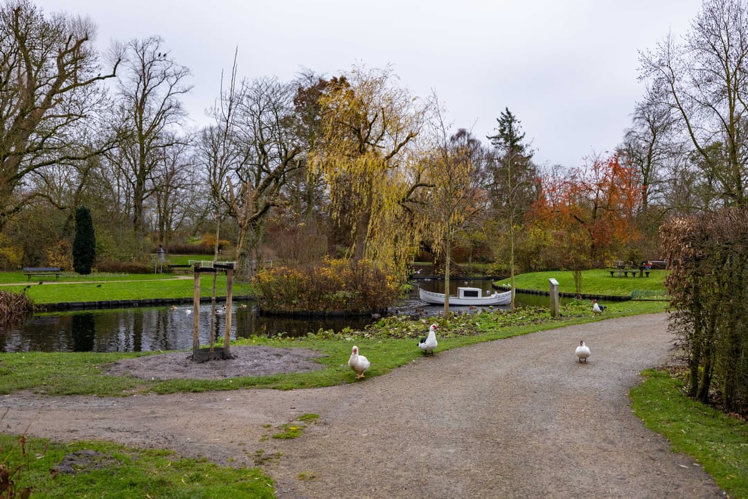 Foto 46 van Salverdastraat 13